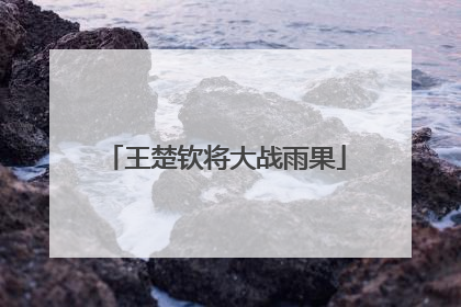 王楚钦将大战雨果