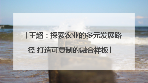王超：探索农业的多元发展路径 打造可复制的融合样板