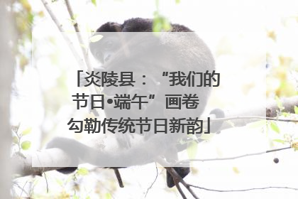 炎陵县：“我们的节日•端午”画卷 勾勒传统节日新韵