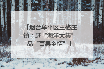 烟台牟平区王格庄镇：赶“海洋大集” 品“百果乡情”