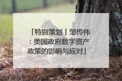 特别策划丨邹传伟：美国政府数字资产政策的影响与应对