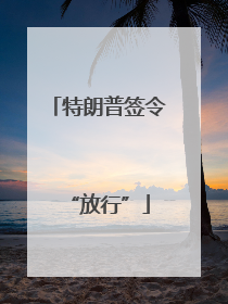 特朗普签令“放行”
