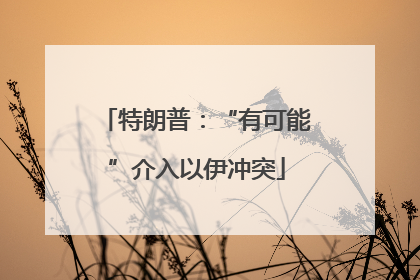 特朗普：“有可能”介入以伊冲突