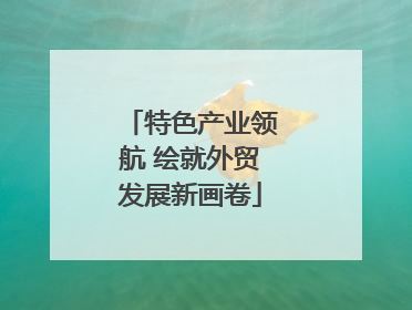特色产业领航 绘就外贸发展新画卷