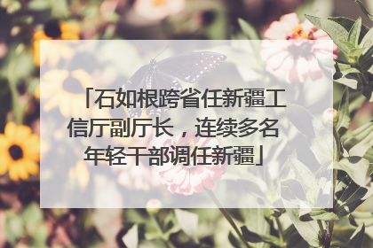 石如根跨省任新疆工信厅副厅长，连续多名年轻干部调任新疆
