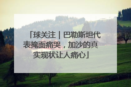 球关注｜巴勒斯坦代表掩面痛哭，加沙的真实现状让人痛心