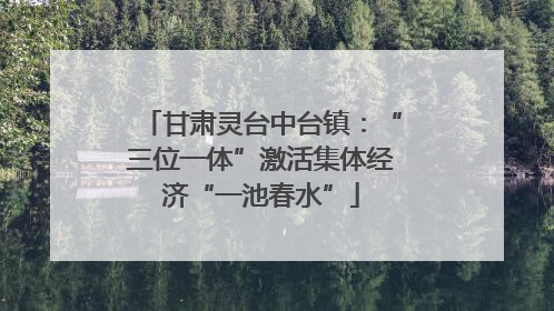 甘肃灵台中台镇：“三位一体”激活集体经济“一池春水”