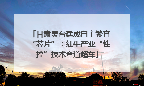 甘肃灵台建成自主繁育“芯片”：红牛产业“性控”技术弯道超车