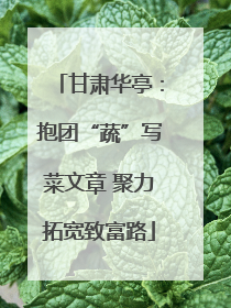 甘肃华亭：抱团“蔬”写菜文章 聚力拓宽致富路
