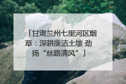 甘肃兰州七里河区烟草：深耕廉洁土壤 劲扬“丝路清风”