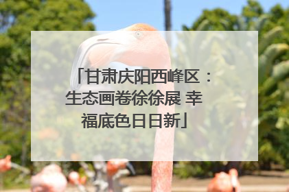甘肃庆阳西峰区：生态画卷徐徐展 幸福底色日日新