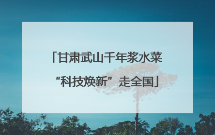 甘肃武山千年浆水菜“科技焕新”走全国