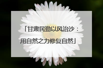 甘肃民勤以风治沙：用自然之力修复自然