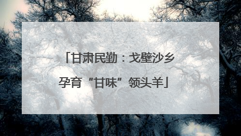 甘肃民勤：戈壁沙乡孕育“甘味”领头羊