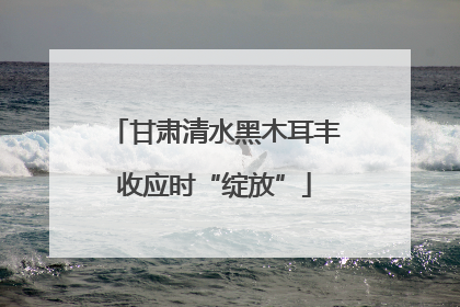 甘肃清水黑木耳丰收应时“绽放”