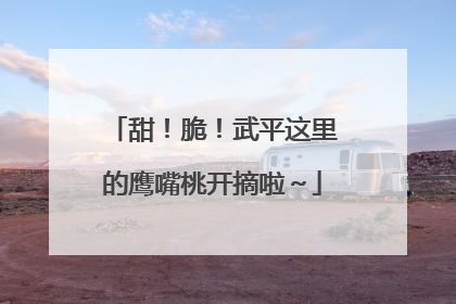 甜！脆！武平这里的鹰嘴桃开摘啦～