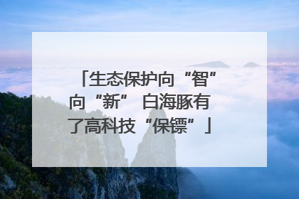 生态保护向“智”向“新” 白海豚有了高科技“保镖”