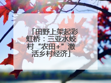 田野上架起彩虹桥：三亚水蛟村“农田+”激活乡村经济