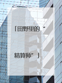田野里的“精算师”