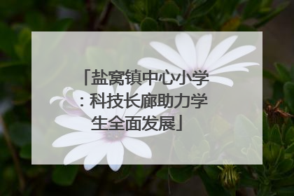 盐窝镇中心小学：科技长廊助力学生全面发展