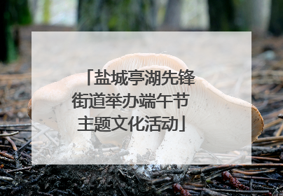 盐城亭湖先锋街道举办端午节主题文化活动