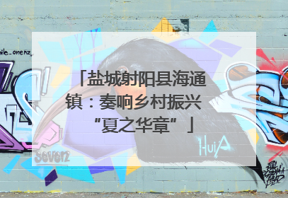 盐城射阳县海通镇：奏响乡村振兴“夏之华章”