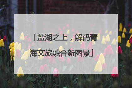 盐湖之上，解码青海文旅融合新图景