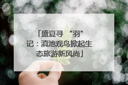 盛夏寻 “羽” 记：滇池观鸟掀起生态旅游新风尚