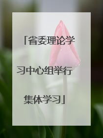 省委理论学习中心组举行集体学习