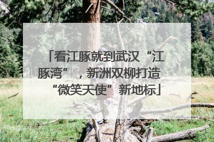 看江豚就到武汉“江豚湾”，新洲双柳打造“微笑天使”新地标