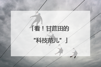 看！甘蔗田的“科技范儿”