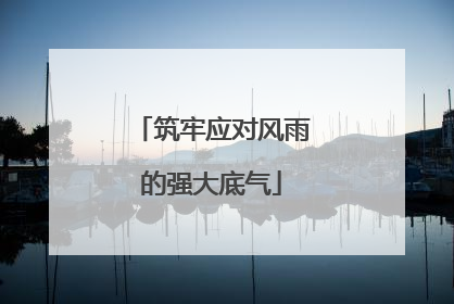 筑牢应对风雨的强大底气