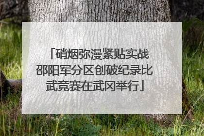 硝烟弥漫紧贴实战 邵阳军分区创破纪录比武竞赛在武冈举行