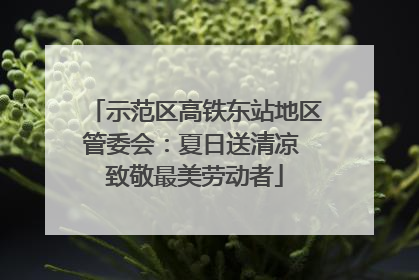 示范区高铁东站地区管委会：夏日送清凉 致敬最美劳动者