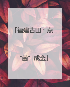 福建古田：点“菌”成金
