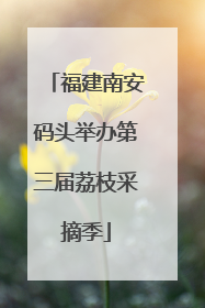 福建南安码头举办第三届荔枝采摘季
