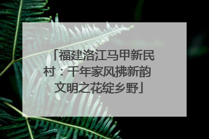 福建洛江马甲新民村：千年家风拂新韵 文明之花绽乡野