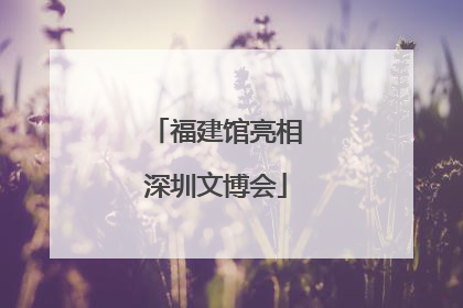 福建馆亮相深圳文博会