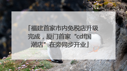 福建首家市内免税店升级完成，厦门首家“cdf国潮店”在旁同步开业
