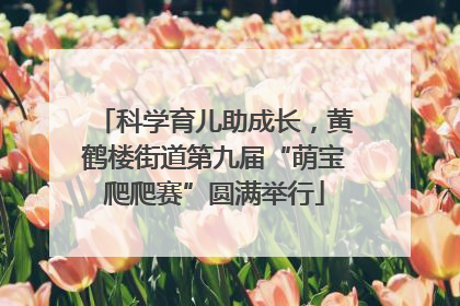 科学育儿助成长，黄鹤楼街道第九届“萌宝爬爬赛”圆满举行