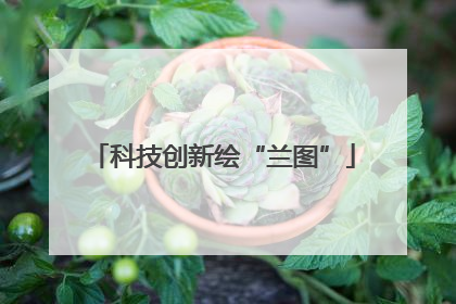 科技创新绘“兰图”