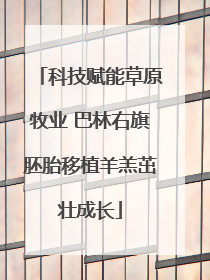 科技赋能草原牧业 巴林右旗胚胎移植羊羔茁壮成长