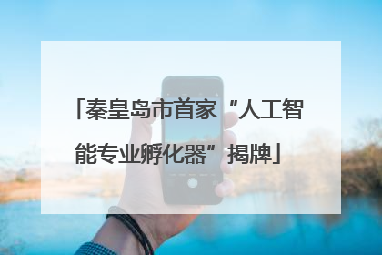 秦皇岛市首家“人工智能专业孵化器”揭牌