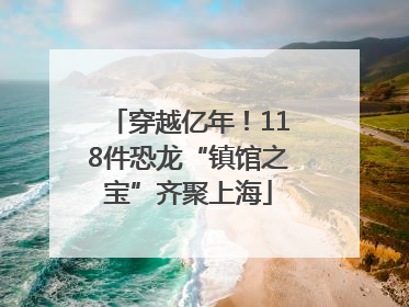 穿越亿年！118件恐龙“镇馆之宝”齐聚上海