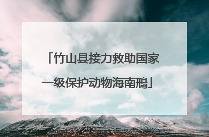 竹山县接力救助国家一级保护动物海南鳽
