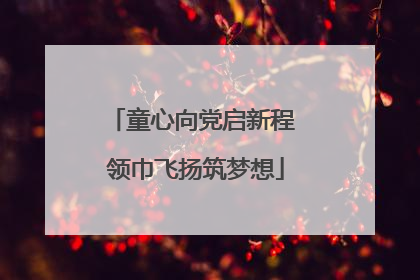 童心向党启新程 领巾飞扬筑梦想