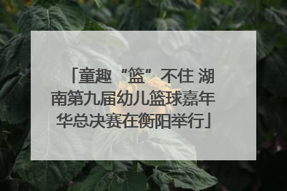 童趣“篮”不住 湖南第九届幼儿篮球嘉年华总决赛在衡阳举行