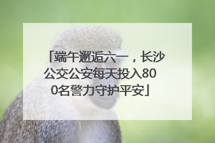 端午邂逅六一，长沙公交公安每天投入800名警力守护平安