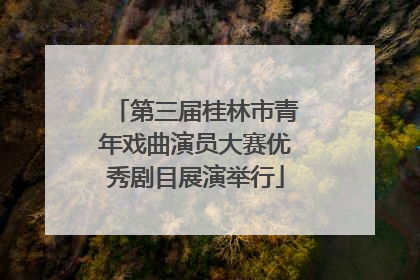 第三届桂林市青年戏曲演员大赛优秀剧目展演举行