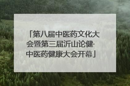 第八届中医药文化大会暨第三届沂山论健·中医药健康大会开幕